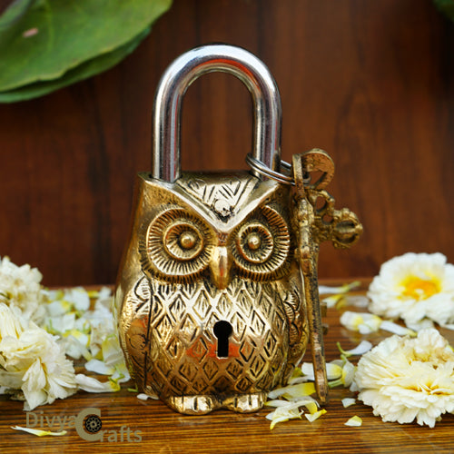 Owl Design Yellow Functional Brass Lock with 2 Keys